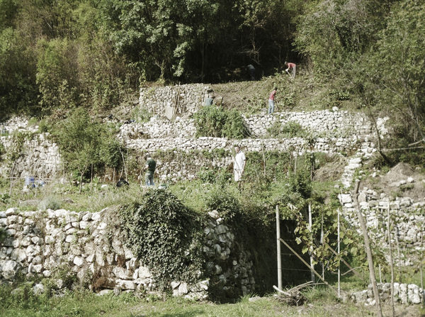 Nuova gestione del territorio e riqualificazione del paesaggio terrazzato del Canale di Brenta